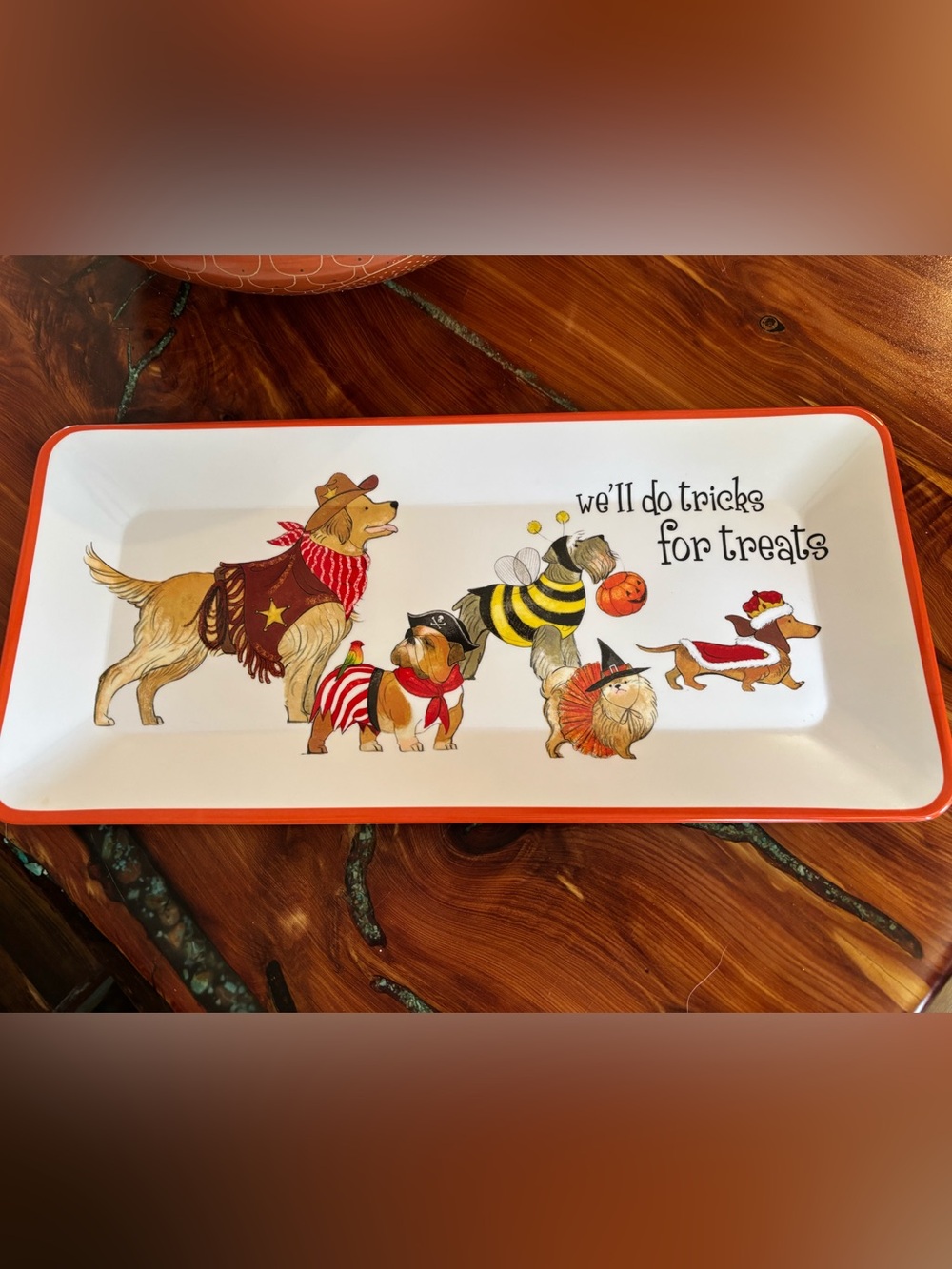Pier One Halloween Dog Parade Plastic Serving Tray - Orange Accent 17 x 8